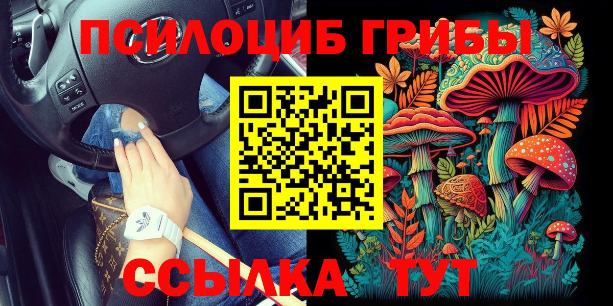 Псилоцибиновые грибы GOLDEN TEACHER Тейково